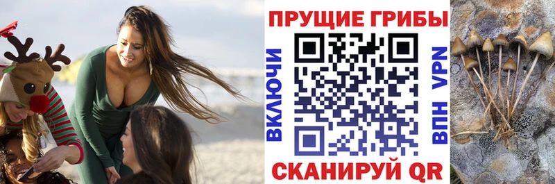 Галлюциногенные грибы прущие грибы купить наркотики сайты Видное