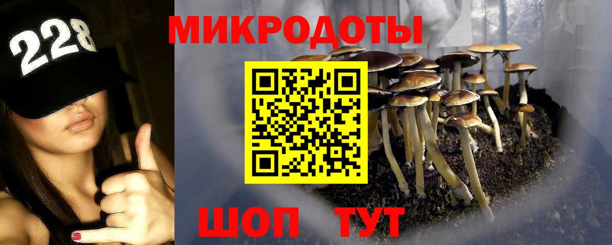 где купить наркоту  Псилоцибиновые грибы мухоморы  Вход с VPN  Видное 