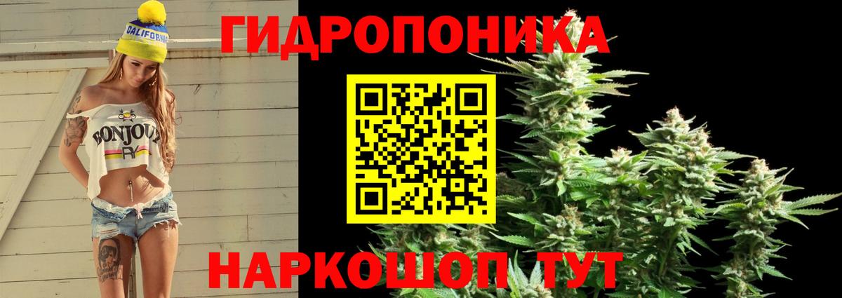 Канабис марихуана Видное